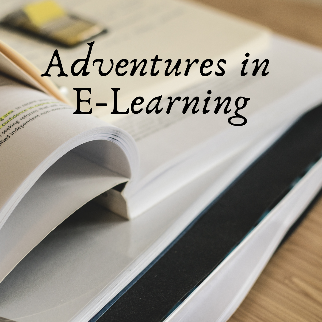 Adventures in E-Learning